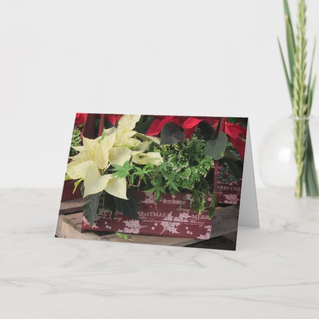 Cartes Pour Fêtes Annuelles Boîte de Noël (Devant)