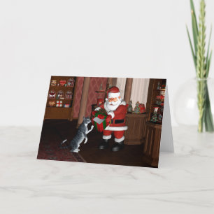 Cartes Pour Fêtes Annuelles Boîte vide pour un chat domestique gris