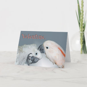 Cartes Pour Fêtes Annuelles Bon soin