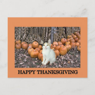 Cartes Pour Fêtes Annuelles Bon thanksgiving