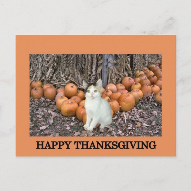 Cartes Pour Fêtes Annuelles Bon thanksgiving (Devant)