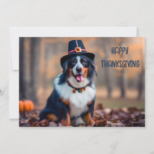 Cartes Pour Fêtes Annuelles Bon thanksgiving bernois pèlerin de chiens de mont