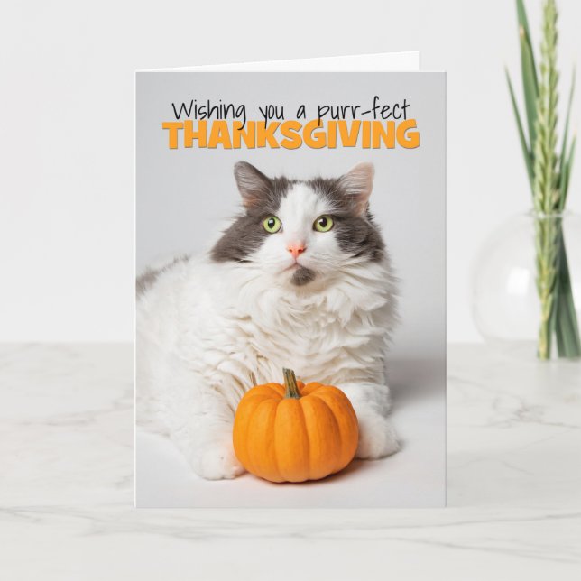 Cartes Pour Fêtes Annuelles Bon thanksgiving Cute Kitty Chat avec Citrouille (Devant)