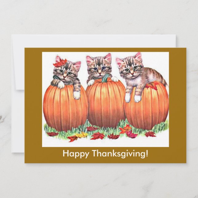 Cartes Pour Fêtes Annuelles Bon thanksgiving Kittens sur Citrouille, ZSSG (Devant)