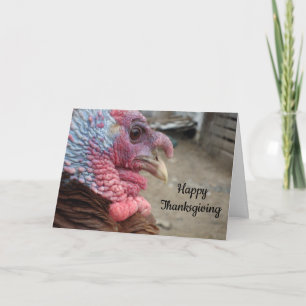 Cartes Pour Fêtes Annuelles Bon thanksgiving, Merci d'être Vegan Holiday