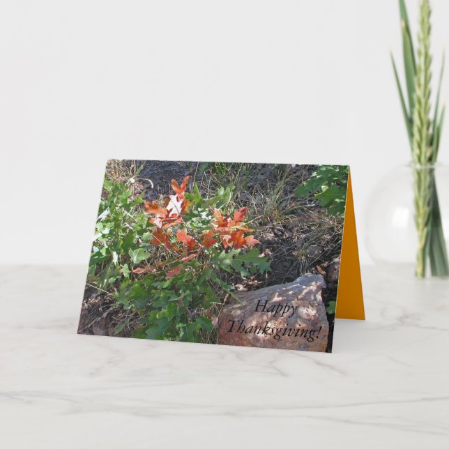 Cartes Pour Fêtes Annuelles Bon thanksgiving ! par Janz (Devant)