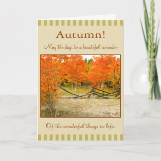 Cartes Pour Fêtes Annuelles Bon thanksgiving ! Trembles colorés d'automne