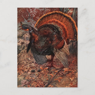 Cartes Pour Fêtes Annuelles Bon thanksgiving vintage Turquie