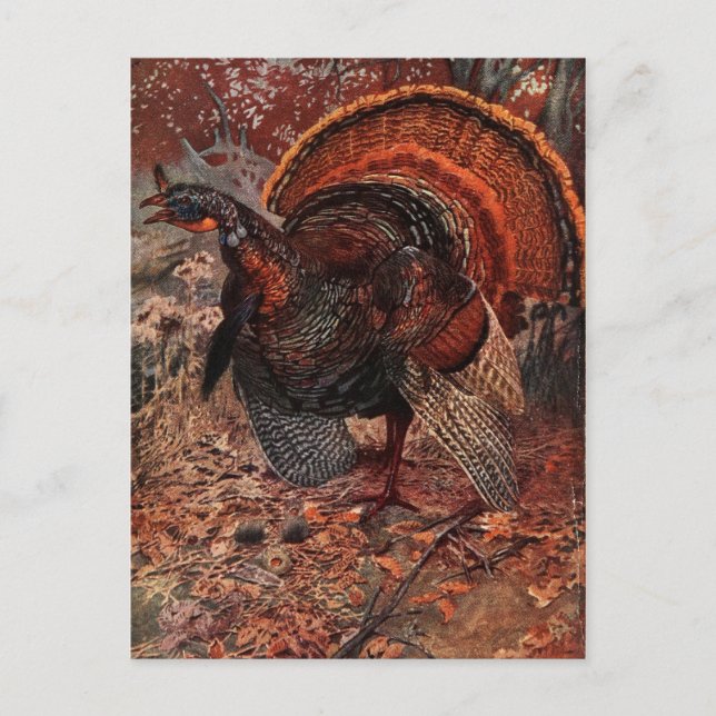 Cartes Pour Fêtes Annuelles Bon thanksgiving vintage Turquie (Devant)