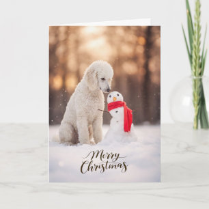 Cartes Pour Fêtes Annuelles Bonhomme de neige de Noël Caniche blanc