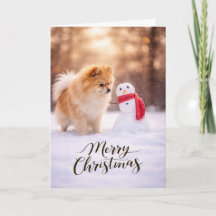 Bonhomme de neige de Noël pour Pomeranian