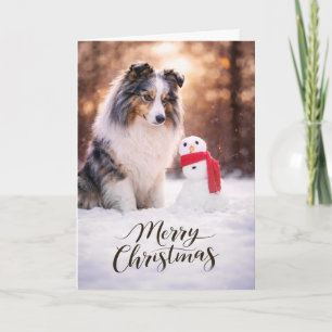 Cartes Pour Fêtes Annuelles Bonhomme de neige de Noël Sheltie Blue Merle