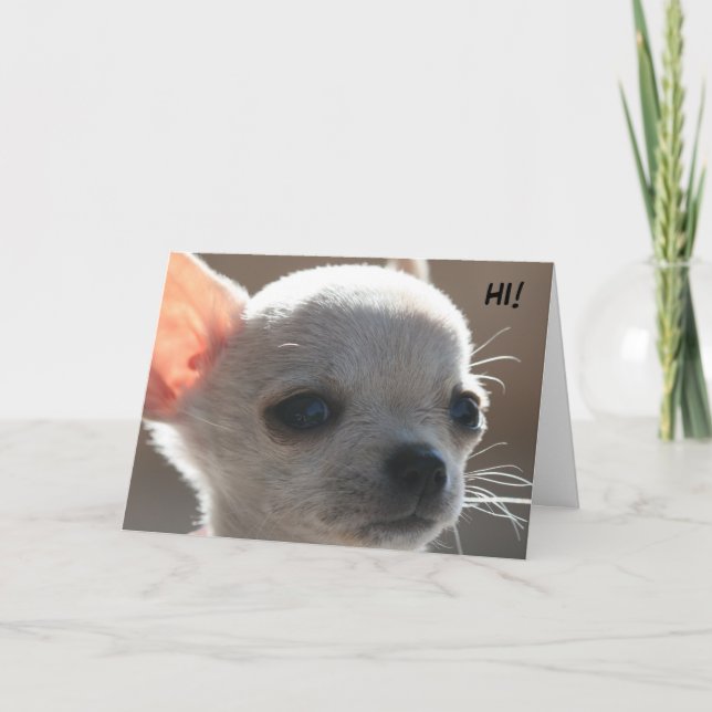 CARTES POUR FÊTES ANNUELLES BONJOUR ! (Devant)