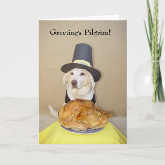 Cartes Pour Fêtes Annuelles Bonjour Pèlerin !