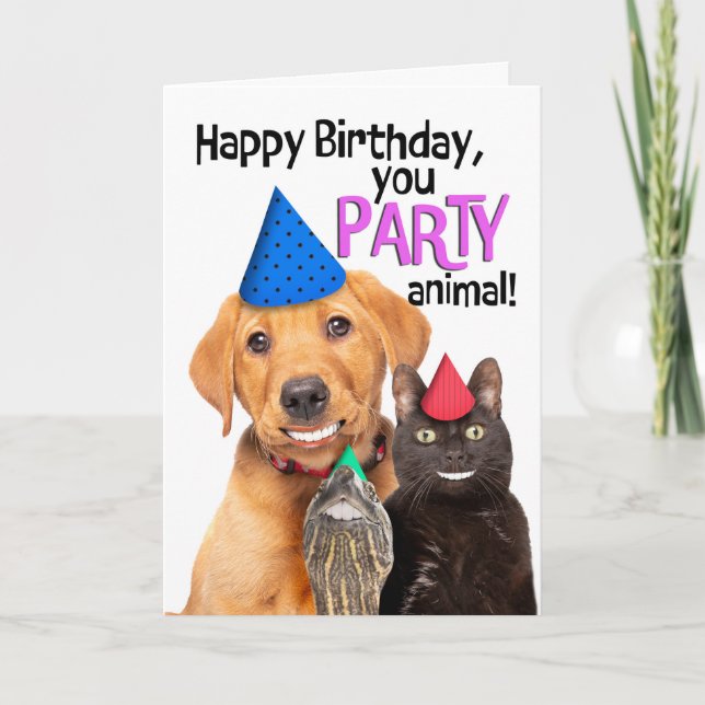 Cartes Pour Fêtes Annuelles Bonne fête d'anniversaire Animal drôle Animaux Ani (Devant)