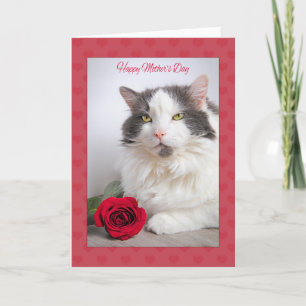 Cartes Pour Fêtes Annuelles Bonne fête des mères du chat Kitty avec Rose