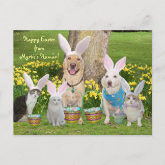 Cartes Pour Fêtes Annuelles Bonne Pâques de l'Humain de Myrtie !