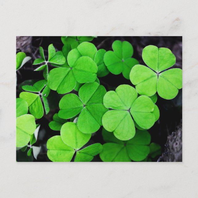 Cartes Pour Fêtes Annuelles Bonne Saint Patrick...chance de l'Irish (Devant)