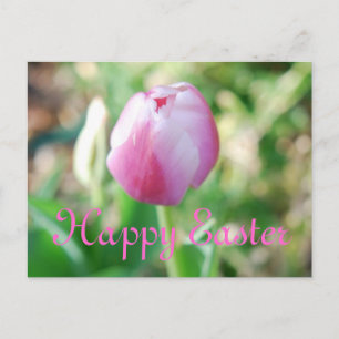 Cartes Pour Fêtes Annuelles Bonne Tulipe rose de Pâques