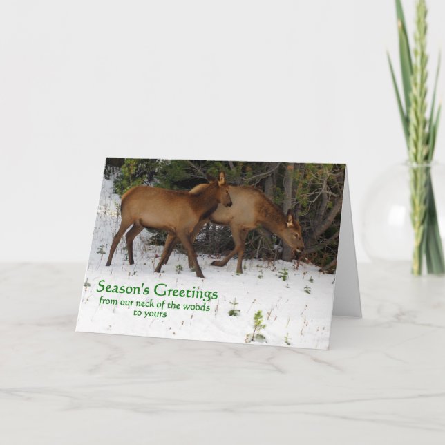 Cartes Pour Fêtes Annuelles Bonnes Fêtes (Devant)