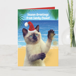 Cartes Pour Fêtes Annuelles Bonnes Fêtes amusantes du chat "Sandy Claws"