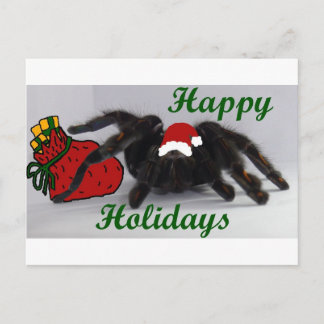 Cartes Pour Fêtes Annuelles Bonnes fêtes ! … avec une tarentule ?
