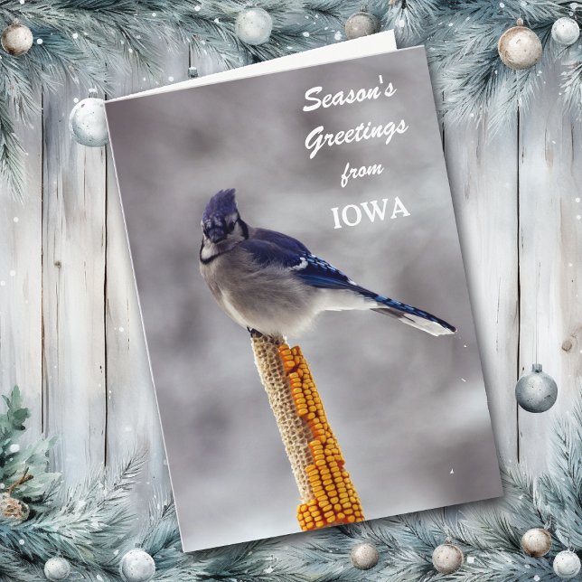 Cartes Pour Fêtes Annuelles Bonnes Fêtes Blue Jay de l'Iowa (Créateur téléchargé)