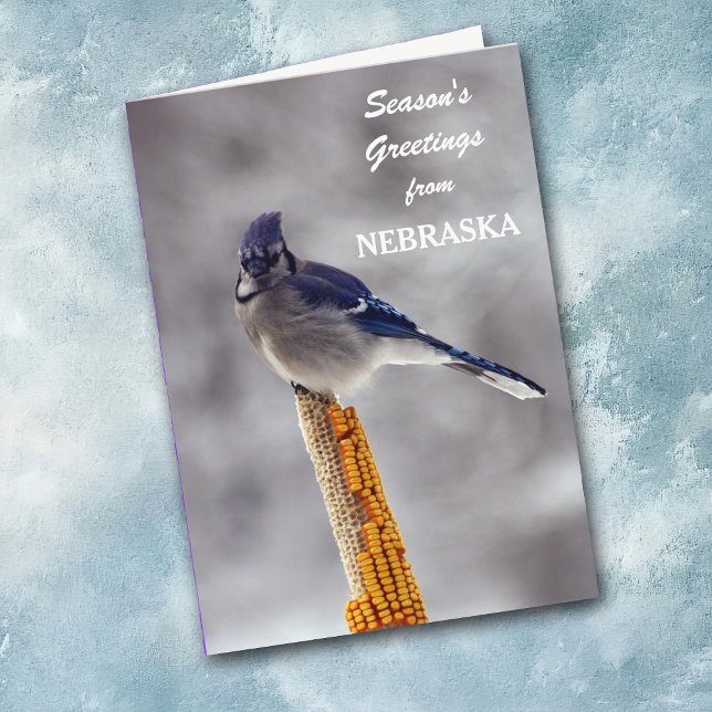 Cartes Pour Fêtes Annuelles Bonnes Fêtes Blue Jay du Nebraska (Créateur téléchargé)