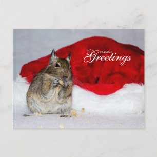 Cartes Pour Fêtes Annuelles Bonnes Fêtes Degu & Santa Hat