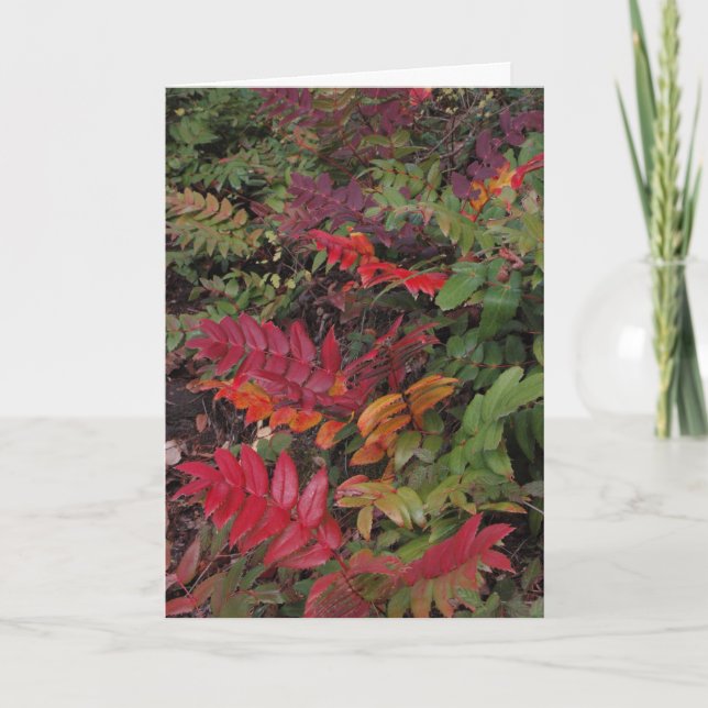 Cartes Pour Fêtes Annuelles Bonnes fêtes du nord-ouest Pacifique (Devant)