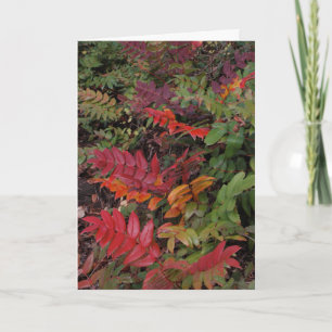 Cartes Pour Fêtes Annuelles Bonnes fêtes du nord-ouest Pacifique