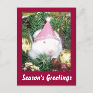 Cartes Pour Fêtes Annuelles Bonnes Fêtes Hamster