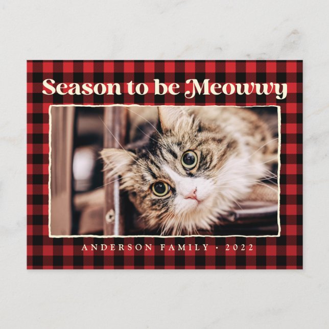 Cartes Pour Fêtes Annuelles Bonnes Fêtes Plaid Funny Pet Chat Photo (Devant)