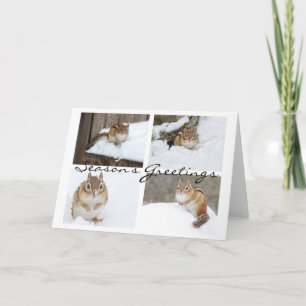 Cartes Pour Fêtes Annuelles Bonnes Fêtes Snowy Chipmunk Collage