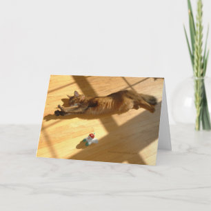 Cartes Pour Fêtes Annuelles Bonnes fêtes, style somalien de chat