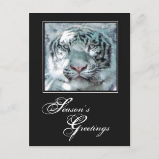 Cartes Pour Fêtes Annuelles Bonnes Fêtes Tigre blanc hiver