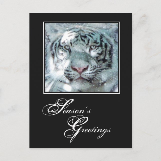 Cartes Pour Fêtes Annuelles Bonnes Fêtes Tigre blanc hiver (Devant)