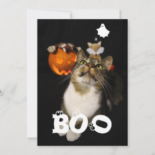 Cartes Pour Fêtes Annuelles Boo Halloween Animaux de compagnie fantôme Araigné