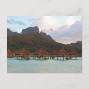 Cartes Pour Fêtes Annuelles Bora Bora