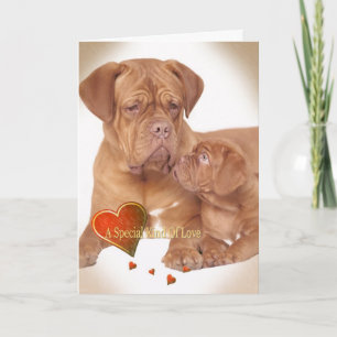 CARTES POUR FÊTES ANNUELLES BORDEAUX A ENFANT SPÉCIAL