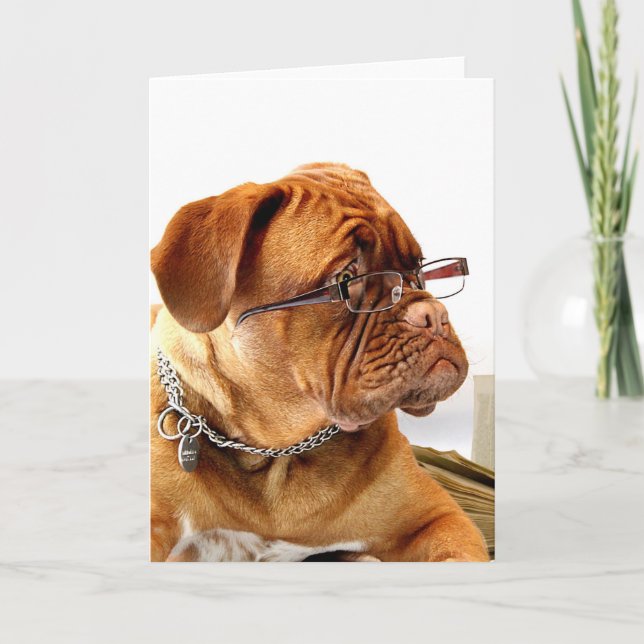 Cartes Pour Fêtes Annuelles Bordeauxchien (Devant)