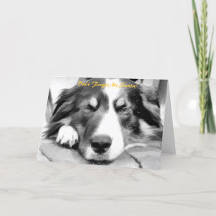 CARTES POUR FÊTES ANNUELLES BORDER COLLIE