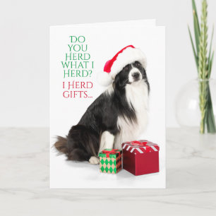 Cartes Pour Fêtes Annuelles Border Collie de dressage de cadeaux avec un chape