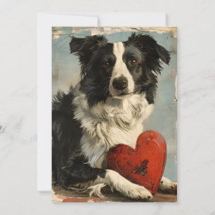 Cartes Pour Fêtes Annuelles Border Collie Saint-Valentin Vintage 