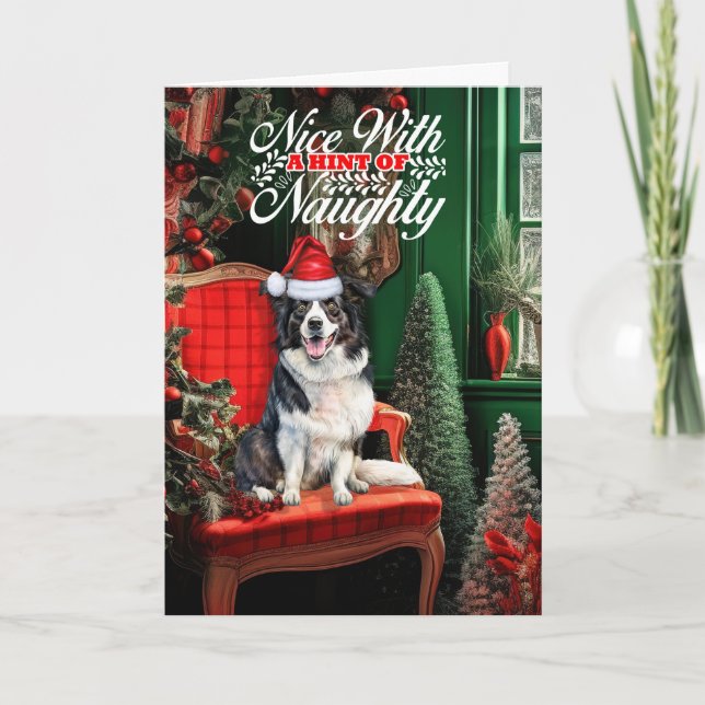 Cartes Pour Fêtes Annuelles Bordure Collie Chien de Noël Naughty ou Nice (Devant)