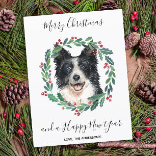 Cartes Pour Fêtes Annuelles Bordure Collie Chien élégant Joyeux Noël