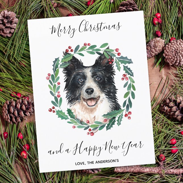 Cartes Pour Fêtes Annuelles Bordure Collie Chien élégant Joyeux Noël (Créateur téléchargé)