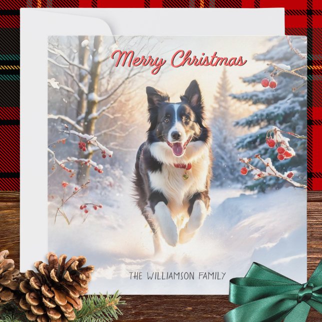 Cartes Pour Fêtes Annuelles Bordure Collie Chien En Neige Joyeux Noël (A personalized Christmas card with illustration of a black and white border collie and winter snow)