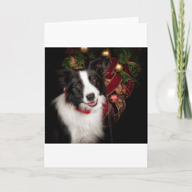 Cartes Pour Fêtes Annuelles Bordure Collie Noël (Devant)