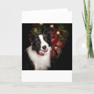 Cartes Pour Fêtes Annuelles Bordure Collie Noël